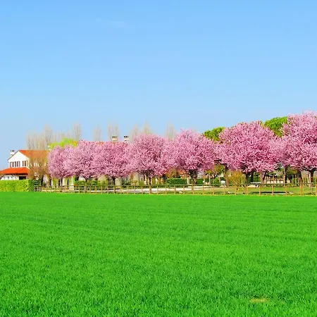Le Cipressine مزرعة للإقامة Meolo